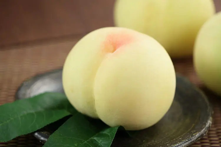 清水白桃