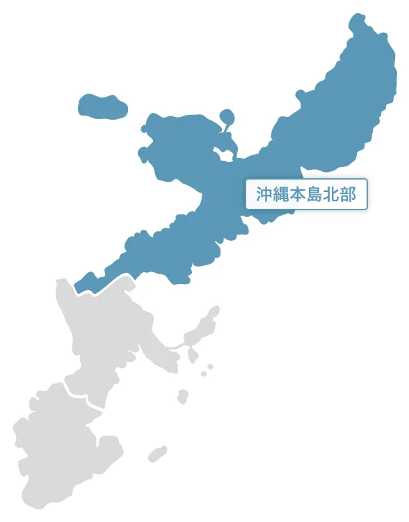 沖縄本島の地図