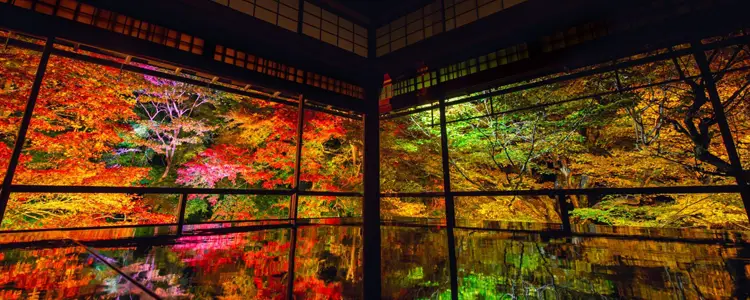 京都