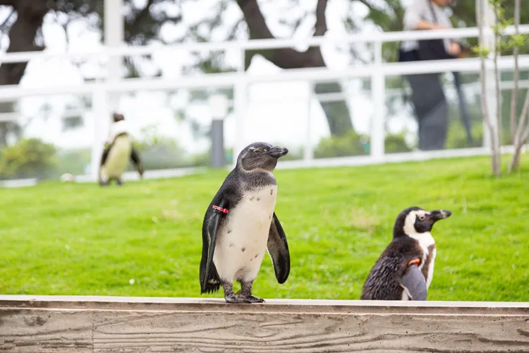 マリンワールド海の中道