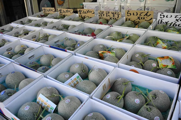 メロンの直売所