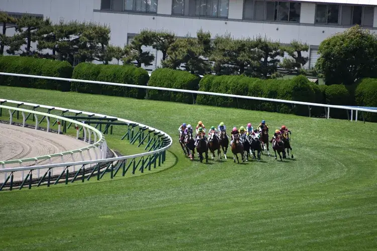 ばんえい競馬