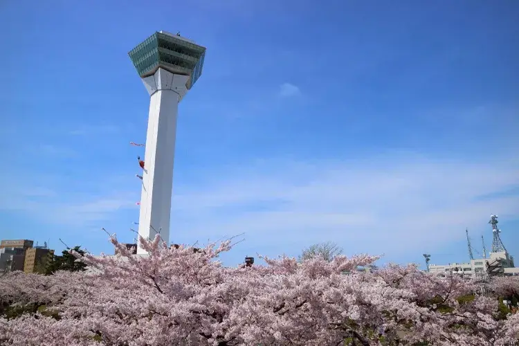 五稜郭タワー