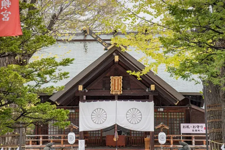 北海道神宮の社