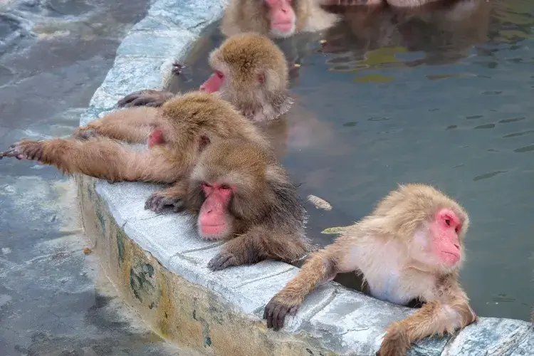 函館市熱帯植物園