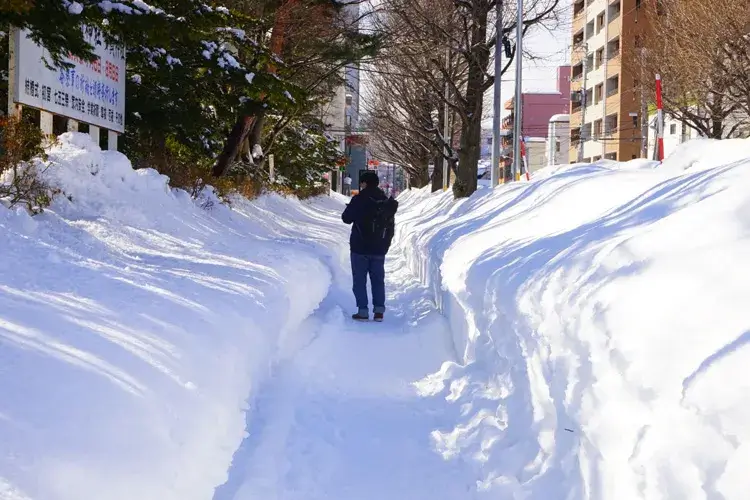 札幌の冬の雪道