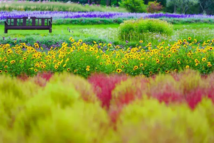 国営滝野すずらん丘陵公園