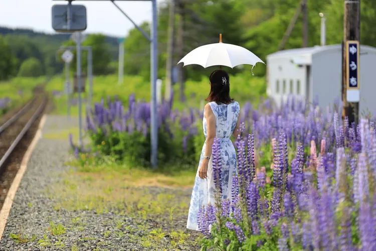 北海道の駅