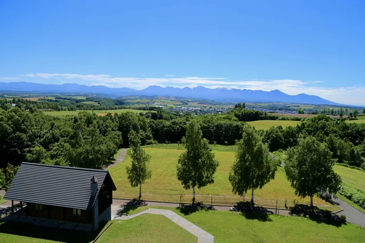 パッチワークの路