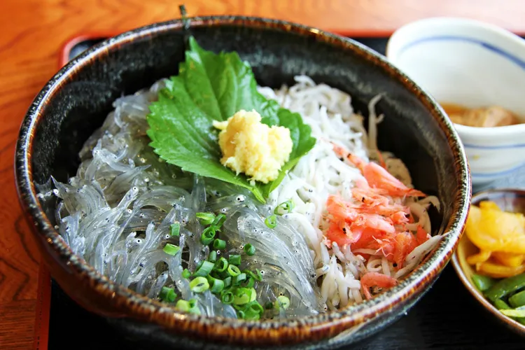 江ノ島のしらす丼