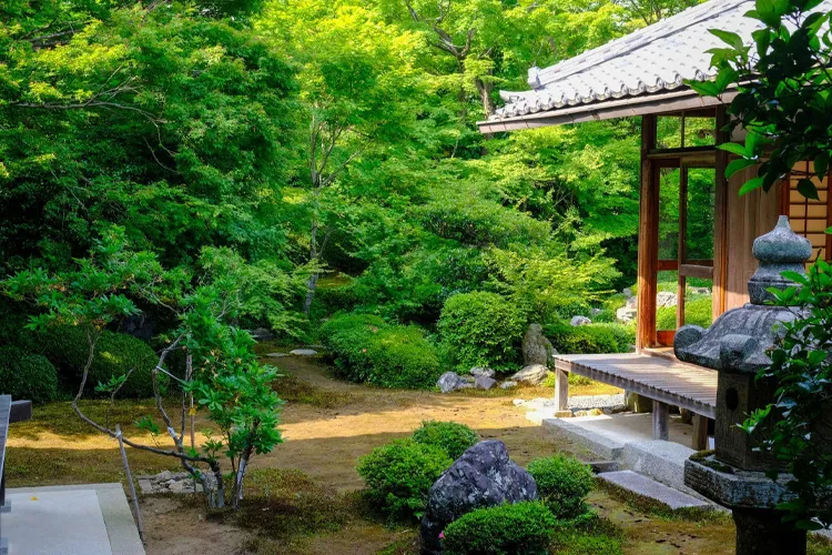 京都の禅寺源光庵の紅葉