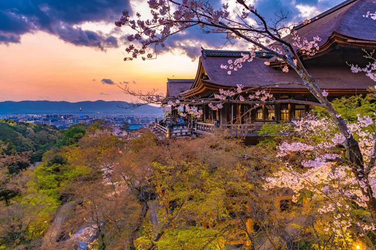 清水寺の舞台と桜、京都市街を望む春の絶景
