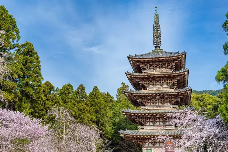 醍醐寺