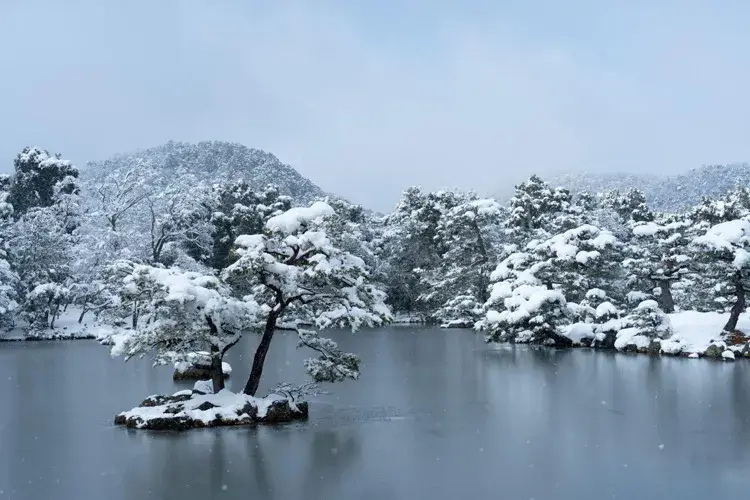 冬の金閣寺