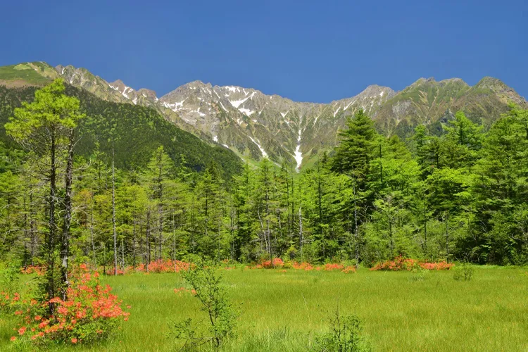 上高地