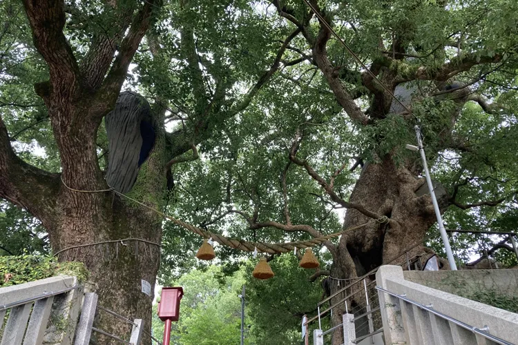 山王神社