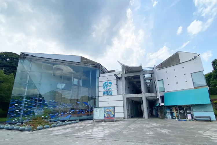 九十九島水族館