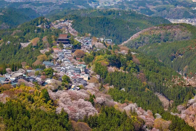 吉野山からの風景