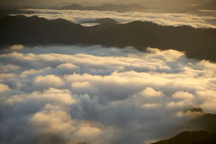 野迫川村雲海景勝地