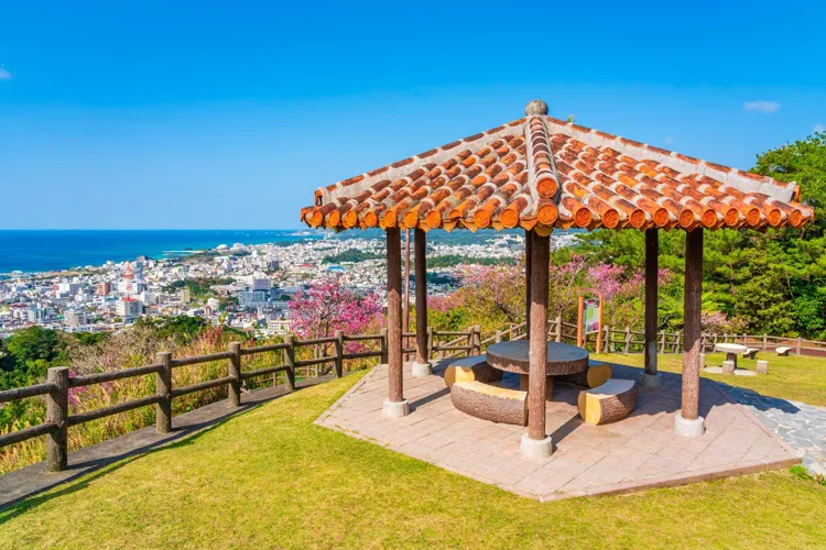 沖縄県名護城公園から名護市街と海を望む展望スポットと寒緋桜