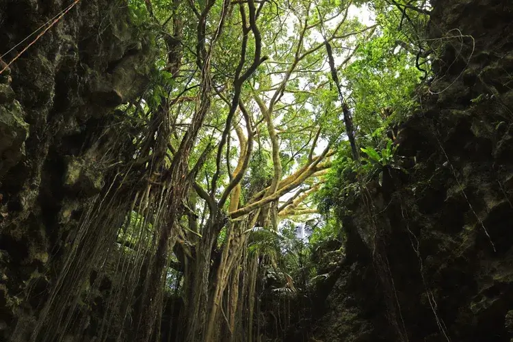 ガンガラーの谷の風景