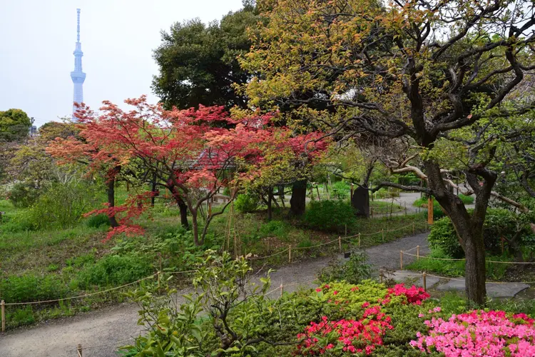 向島百花園