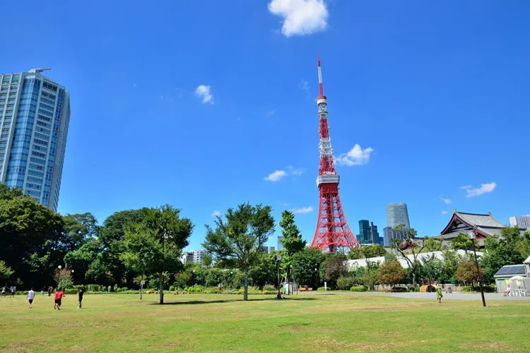 東京タワーが見える芝公園