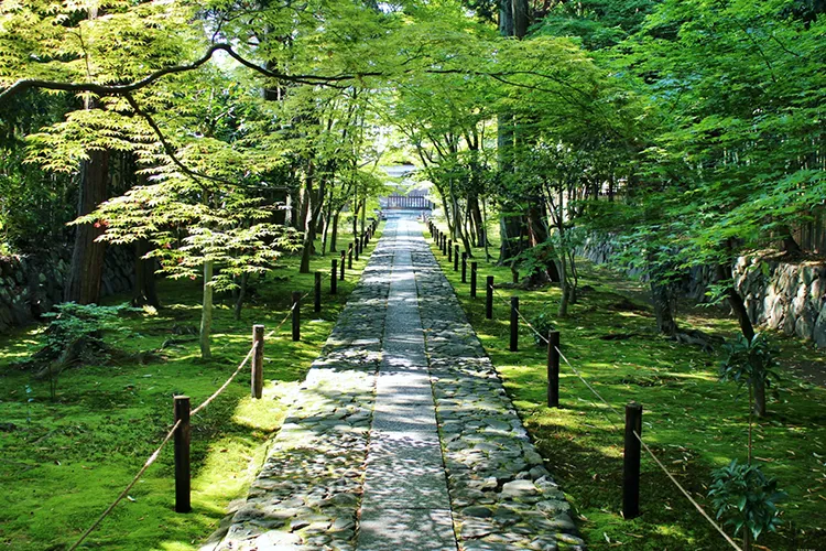 京都 公園