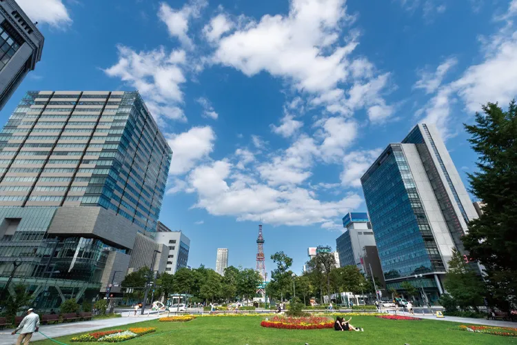 北海道の大通公園から見るテレビ塔