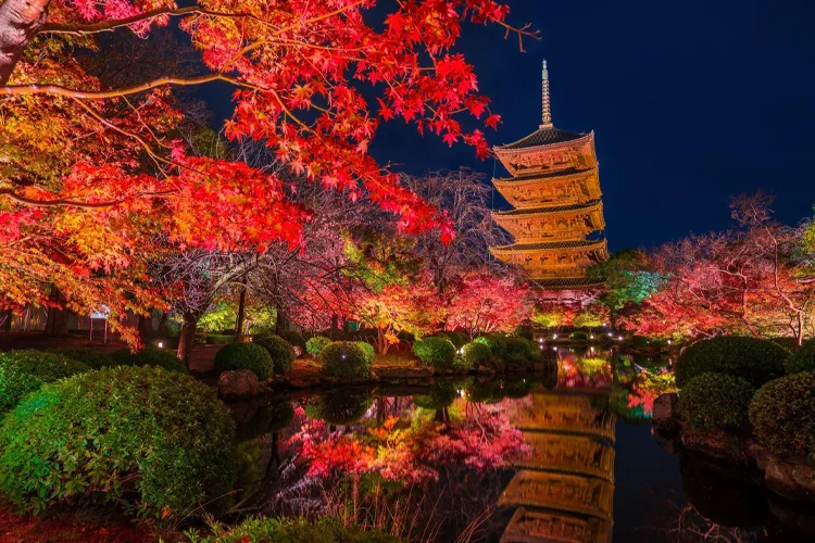 一人旅の女性