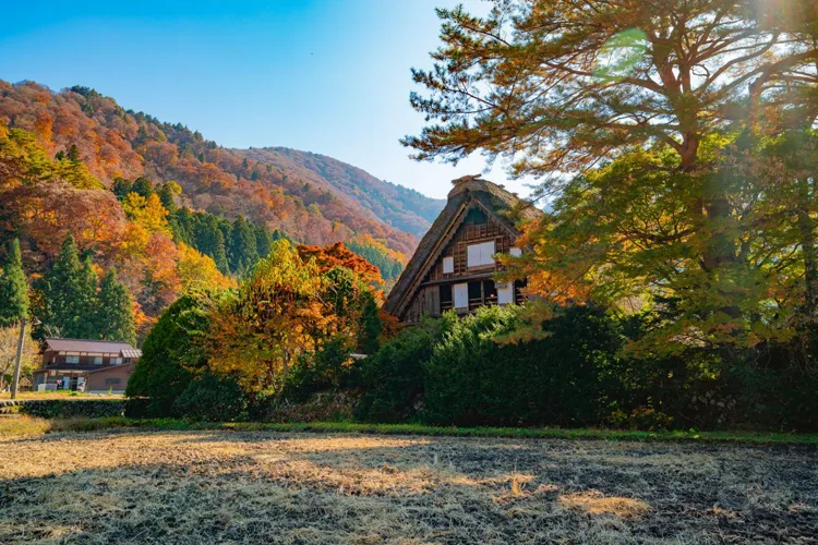 白川郷の紅葉