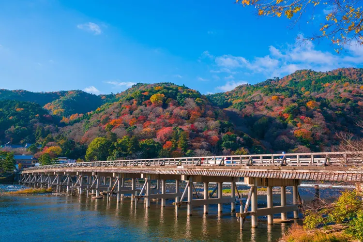 渡月橋と紅葉