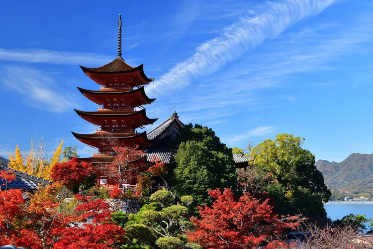 厳島神社の紅葉