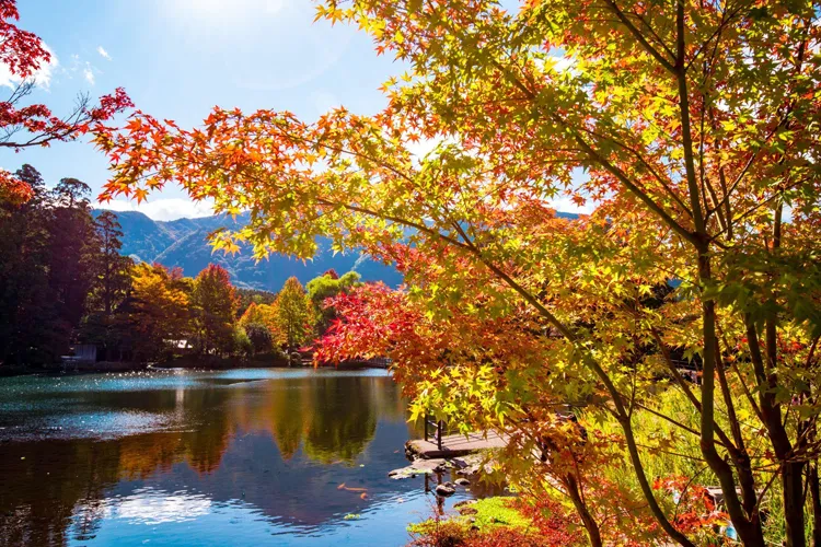 阿蘇五岳の紅葉