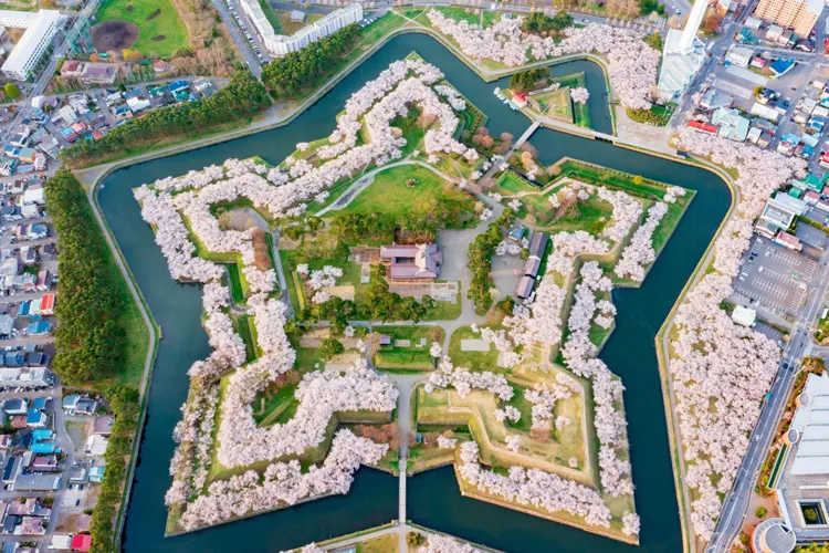 五稜郭