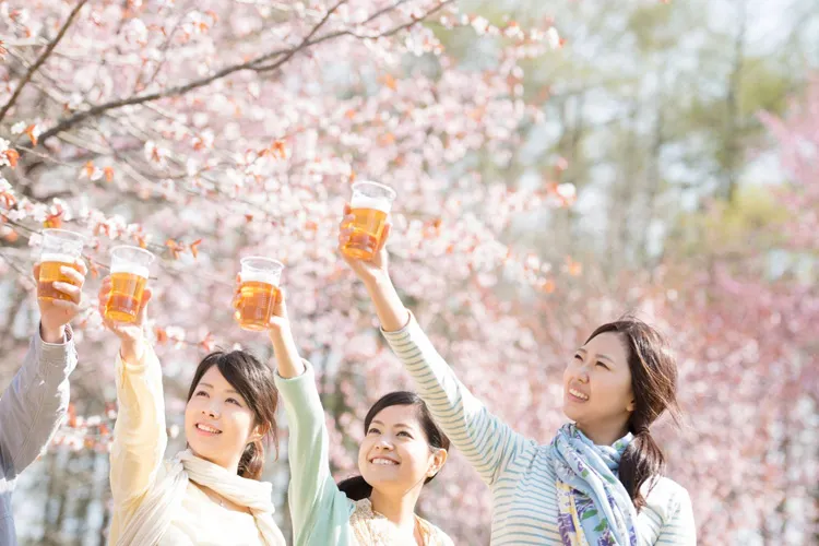 桜の前でビールで乾杯