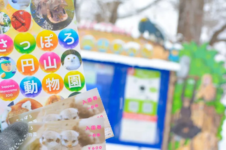 さっぽろ丸山動物園の入場券